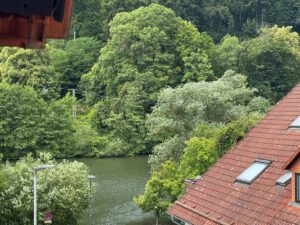 IMG_7634(1)
