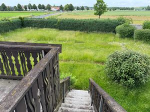 IMG_7446
